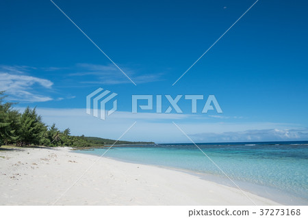 羅塔太特海灘 37273168