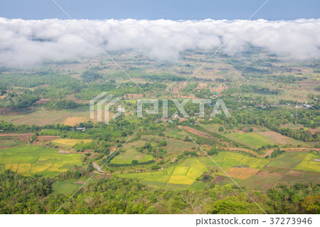 Sea Mist in the morning in the cliffs in Thailand. 37273946