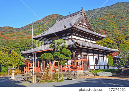 Fukujuji 37274961
