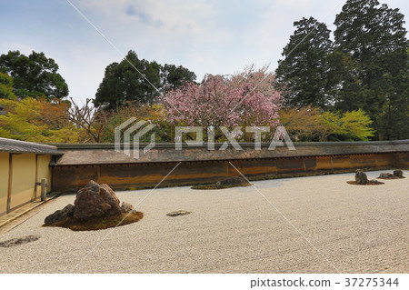 A Zen Rock Garden in Ryoanji Temple A Zen Rock Garden in Ryoanji Temple 37275344