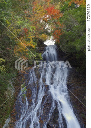 Waterfalls and colored leaves of Jako-ji Temple Takachihocho Miyazaki Prefecture Iwato 37276819