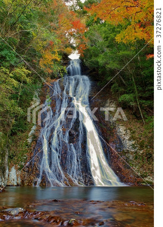 Waterfalls and colored leaves of Jako-ji Temple Takachihocho Miyazaki Prefecture Iwato 37276821