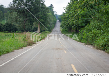 Road in forest Thailand 37277766