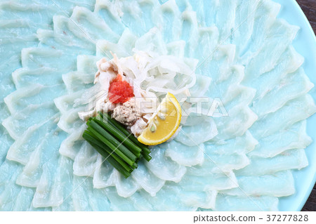 Blowfish Blowfish 37277828