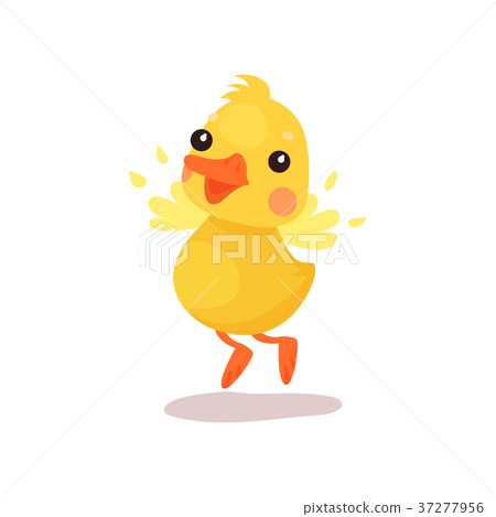 Cute little yellow duck chick character trying to Cute little yellow duck chick character trying to 37277956