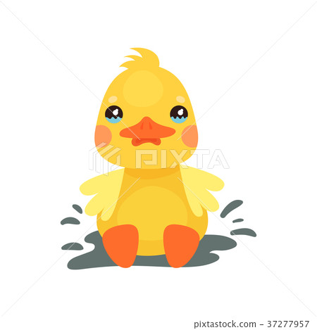 Cute little yellow duck chick character playing in Cute little yellow duck chick character playing in 37277957