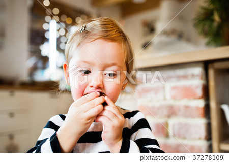 Cute little girl in striped dress eating a cookie. Cute little girl in striped dress eating a cookie. 37278109