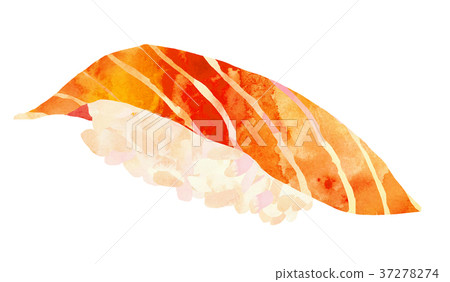 Sushi Series-Salmon 37278274