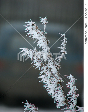 ice crystals 37278496