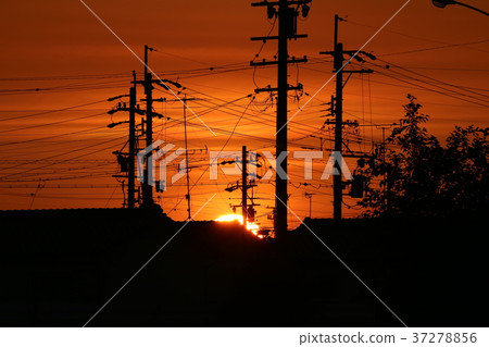 Sunset Sunset 37278856