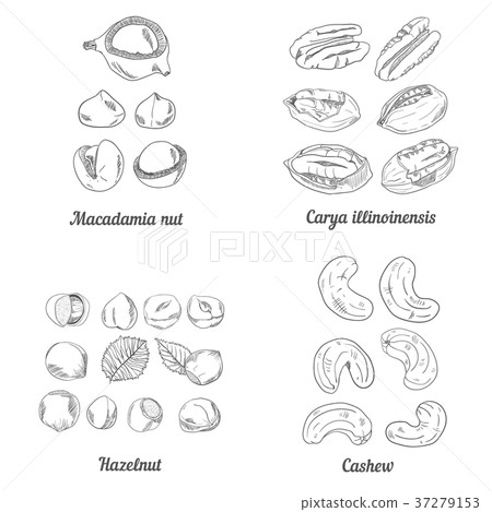 Set of nuts black and white 37279153