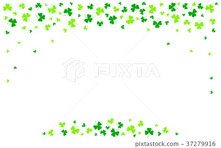 Vector illustration of clover leaves on white 37279916