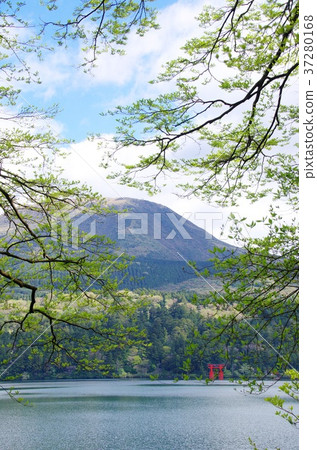 Lake Ashinoko Lake Ashinoko 37280168