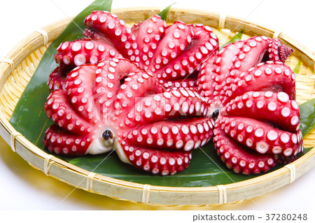 煮章魚 煮章魚 37280248