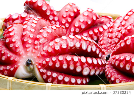 煮章魚 37280254