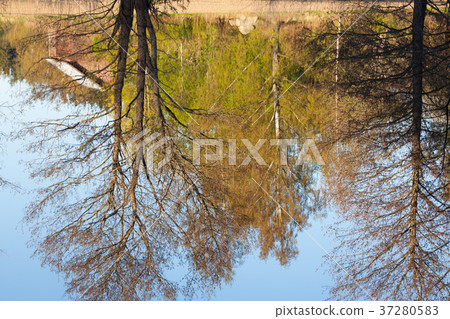 Landscape reflected from lake water surface Landscape reflected from lake water surface 37280583