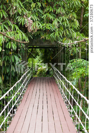 Entrance bridge in Gunung mulu national park 37280673