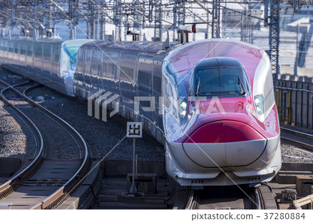 秋田新幹線E6系列大宮站 37280884