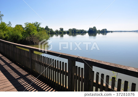 Altmuehlsee in Bavaria 37281076