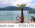Lake Woerthersee, Austria 37281176