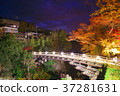 Saruhashi（夜景） 37281631