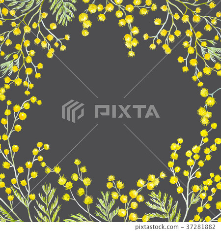 Watercolor mimosa frame Watercolor mimosa frame 37281882