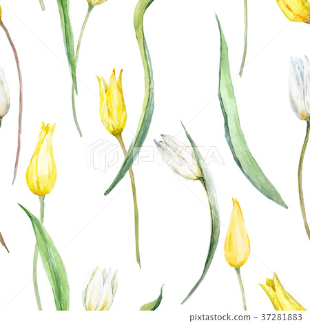 Watercolor tulip vector pattern Watercolor tulip vector pattern 37281883