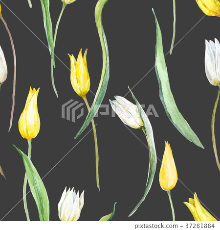 Watercolor tulip vector pattern Watercolor tulip vector pattern 37281884