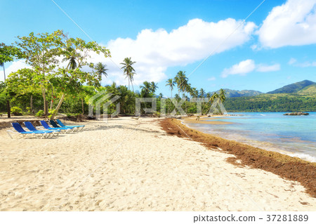 Vacation in Dominican Republic 37281889