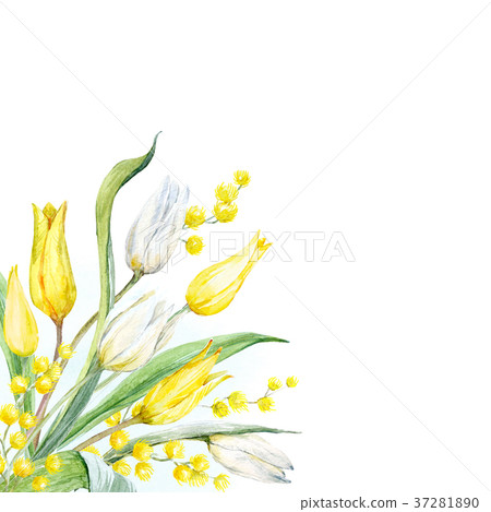 Watercolor tulip composition 37281890