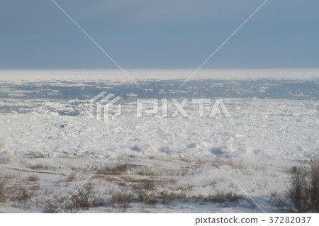 Ice floe in the Sea of Okhotsk 37282037