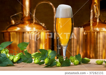 Beer glass with hops and barley in the brewery Beer glass with hops and barley in the brewery 37282131