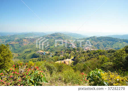 Nature view mountain, forest and blue sky 37282270