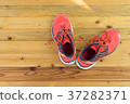 sneaker on wooden floor for running sport wear 37282371