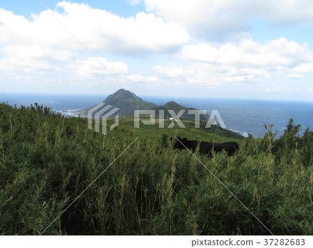 Tokara Archipelago Island 37282683