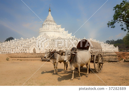 Myanmar Cart is a car for tourists 37282889