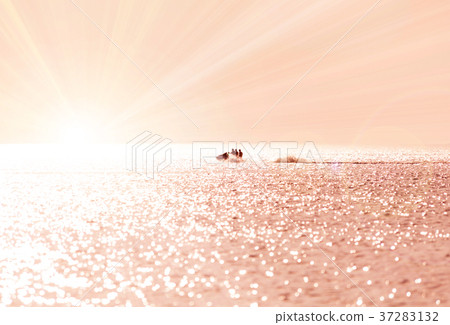 Silhouette of people on jet-ski against the sunset 37283132