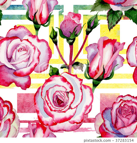 Wildflower hybrid rose flower pattern in a 37283154
