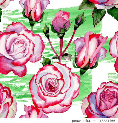 Wildflower hybrid rose flower pattern in a 37283166