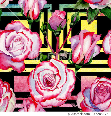 Wildflower hybrid rose flower pattern in a 37283176