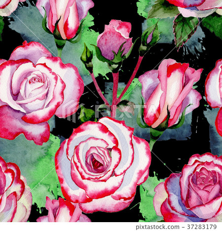 Wildflower hybrid rose flower pattern in a 37283179