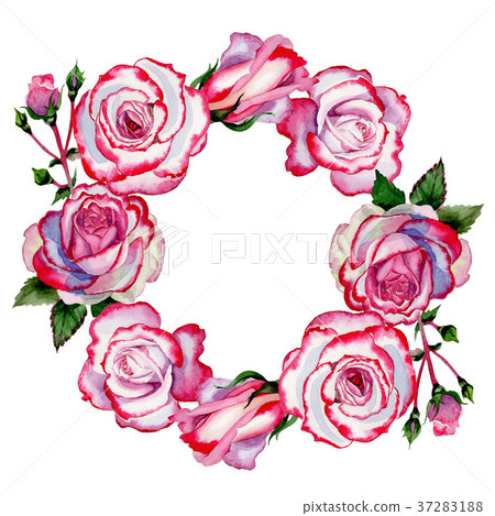 Wildflower hybrid rose flower wreath in a Wildflower hybrid rose flower wreath in a 37283188