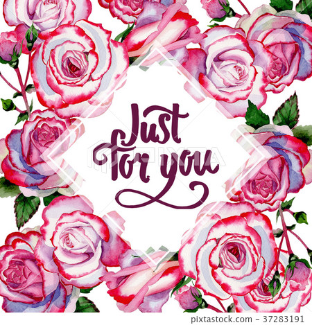 Wildflower hybrid rose flower frame in a Wildflower hybrid rose flower frame in a 37283191