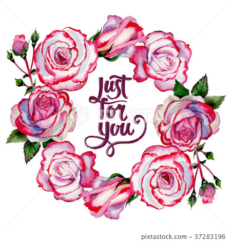 Wildflower hybrid rose flower wreath in a Wildflower hybrid rose flower wreath in a 37283196