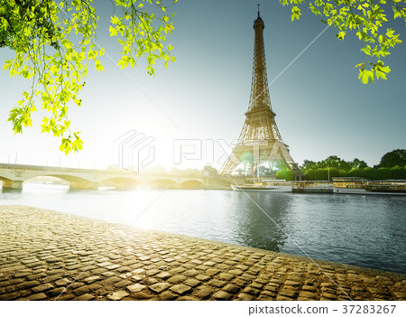 spring time in Paris, Eiffel tower 37283267