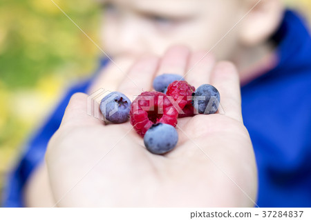Concept of healthy food. Fresh berries as symbol Concept of healthy food. Fresh berries as symbol 37284837