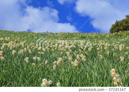 Nada Kuroiwa Water Sengoku 37285167