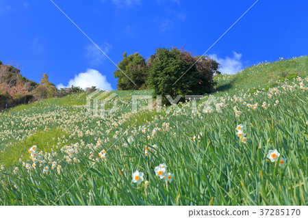 Nada Kuroiwa Water Sengoku Nada Kuroiwa Water Sengoku 37285170