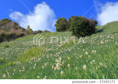 Nada Kuroiwa Water Sengoku 37285171