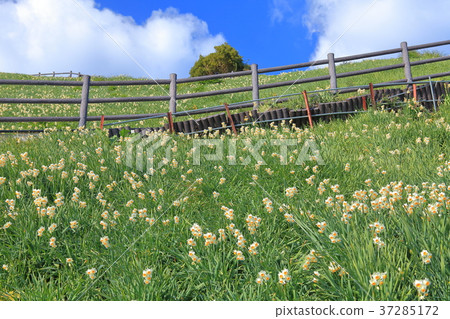 Nada Kuroiwa Water Sengoku Nada Kuroiwa Water Sengoku 37285172